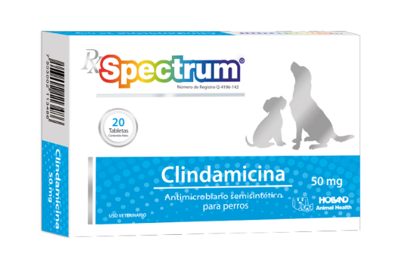 RX SPECTRUM® CLINDAMICINA - Holland