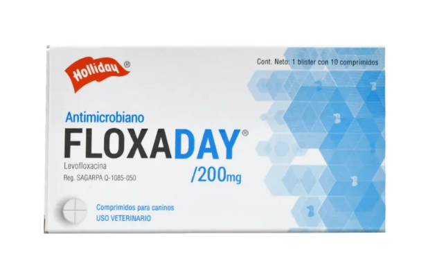 Floxaday - Holliday
