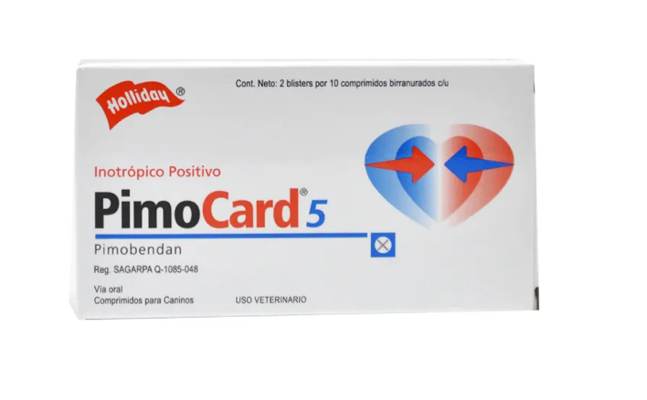 Pimocard - Holliday