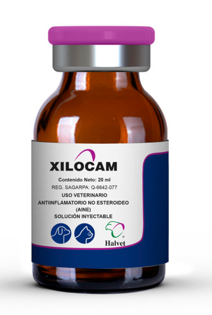 Xilocam - Halvet
