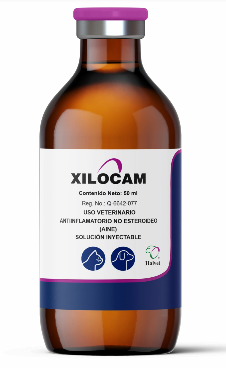 Xilocam - Halvet