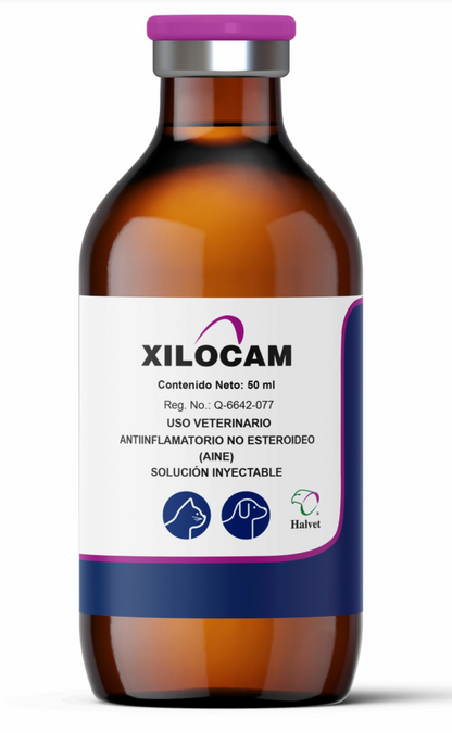 Xilocam - Halvet