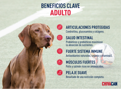 Chivacan Alimento Premium Adulto - CHIVACAN