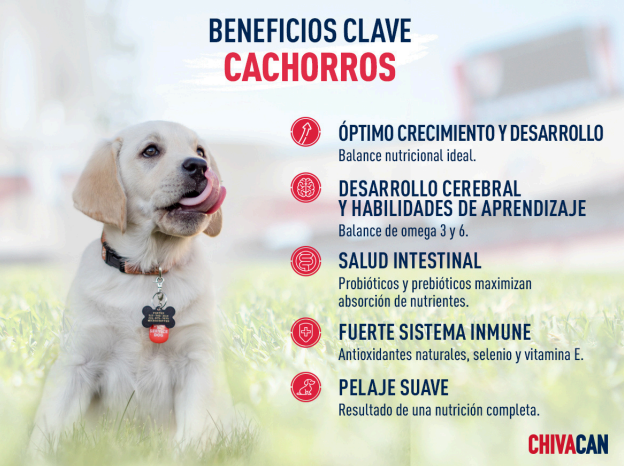 Chivacan Alimento Premium Cachorro - CHIVACAN