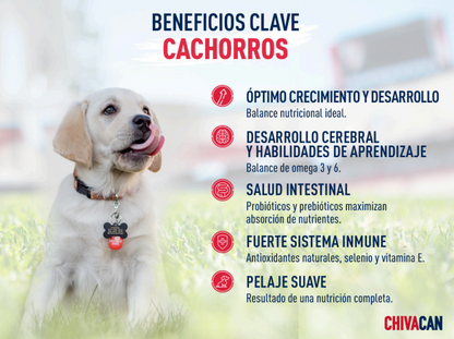 Chivacan Alimento Premium Cachorro - CHIVACAN
