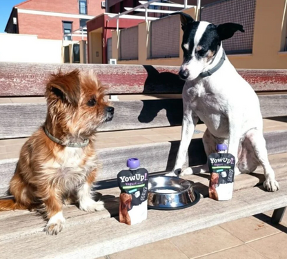 Yogur Funcional Natural con Prebióticos para Perros - Prebióticos Caja con 10 pzas. | YowUp  M