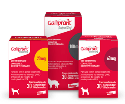 GALLIPRANT 30 TAB - ELANCO