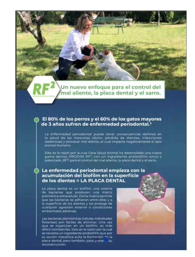 Prozym RF2 ( S) 12 pzs.