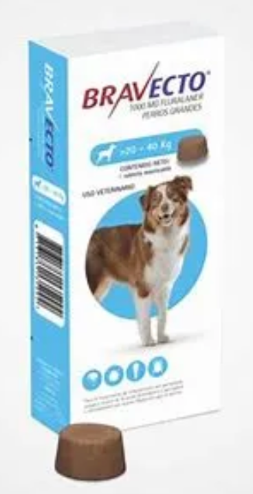 Bravecto L 1000 mg ( 20 - 40 kg ) - MSD
