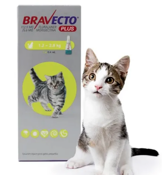 Bravecto Plus Cats - MSD