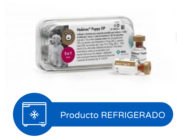 Nobivac Puppy Dp + Solvente