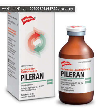 Pileran Iny. - Holliday