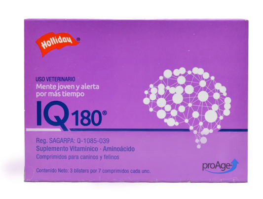 IQ 180 Comp. - Holliday