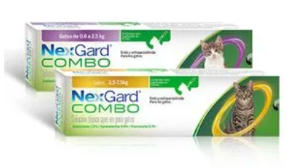 NEXGARD COMBO GATO