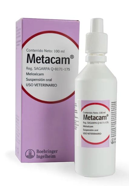 Metacam Susp. Oral 100 ml - Boehringer