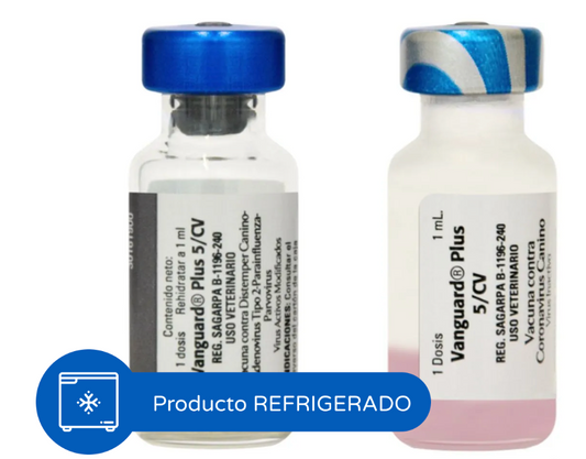 Vanguard Plus 5/CV / PACK. 2 Unidades