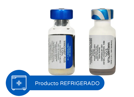 Vanguard Plus 5/CV-L / PACK. 2 Unidades