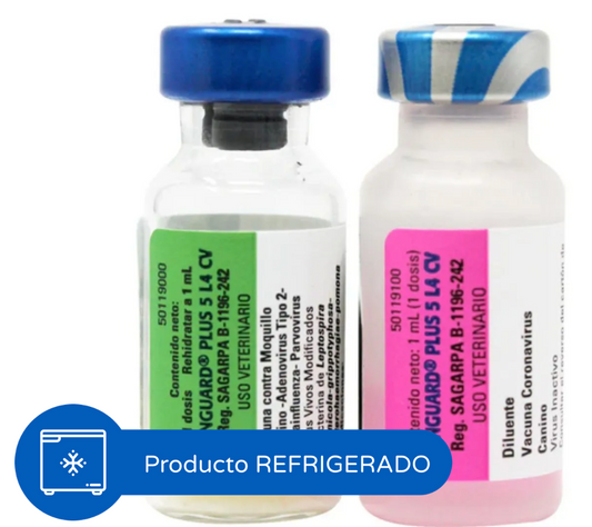 Vanguard Plus 5 L4 CV / PACK 2 Unidades