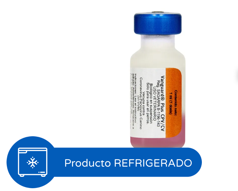 Vanguard Plus CPV/CV / PACK. DE  2 PZAS