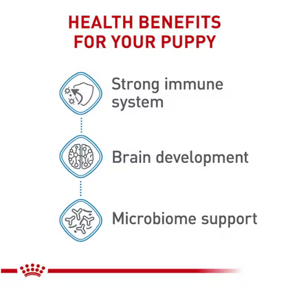 Royal Canin - Large puppy