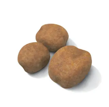 Royal Canin -  Giant Puppy 13.61 kg