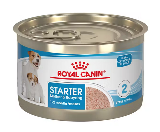 Royal Canin Alimento Húmedo  - Starter Mother & Babydog mousse 145g