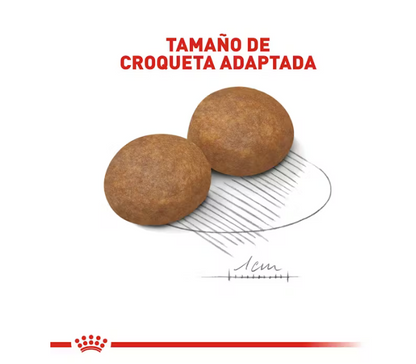 Royal Canin - Medium Adult