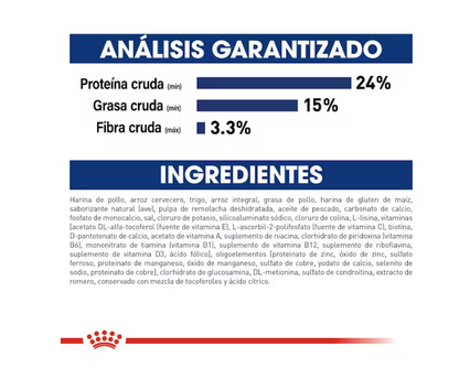 Royal Canin -  Large Adult