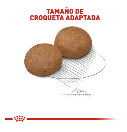 Royal Canin - Large Adult +5, 13.61 kg