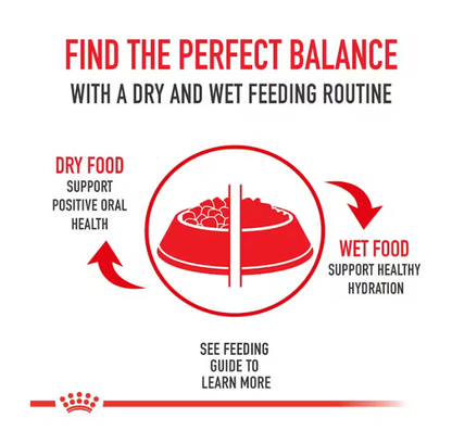 Royal Canin Alimento Húmedo  - Adult All Dogs Wet 385g.
