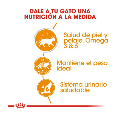 Royal Canin Alimento Húmedo  - Intense Beauty Loaf in Sauce 145g