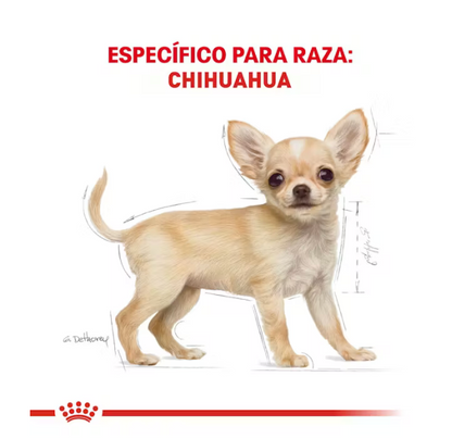 Royal Canin- Chihuahua Cachorro 1.1 kg