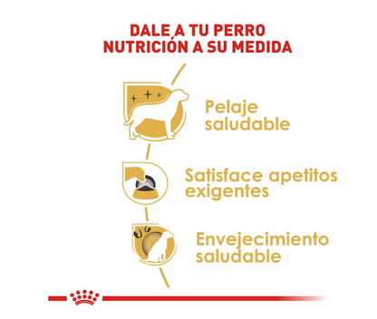Royal Canin - Yorkshire Terrier Adulto