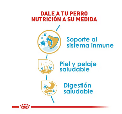 Royal Canin - Shih-tzu Cachorro.1.1 kg.