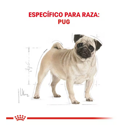 Royal Canin - Pug Adulto 4.5 kg.