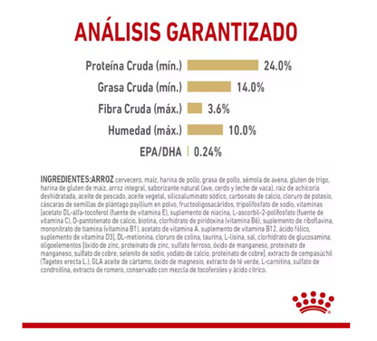 Royal Canin - Pomeranian Adulto