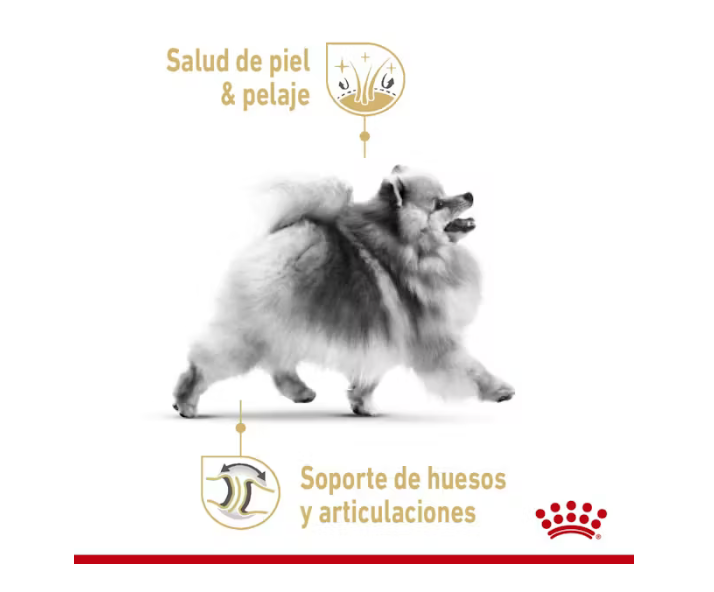 Royal Canin - Pomeranian Adulto
