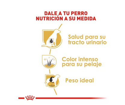 Royal Canin - Schnauzer Miniatura Adulto 4.5 kg
