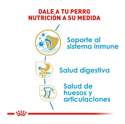 Royal Canin - Bulldog Inglés Cachorro