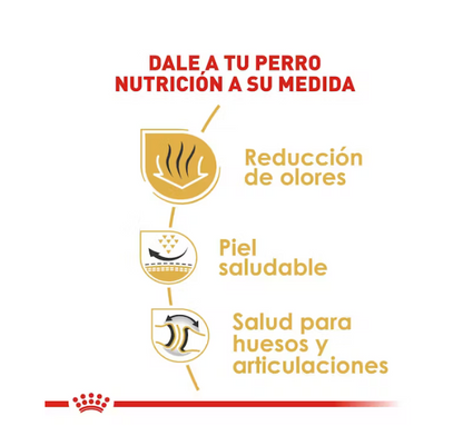Royal Canin - Bulldog Inglés Adulto