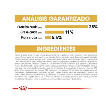 Royal Canin - Labrador Retriever Adulto