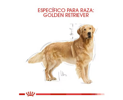 Royal Canin - Golden Retriever Adulto 13.61 kg