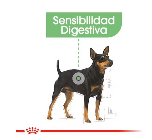 Royal Canin - Small Digestive Care 1.5 kg
