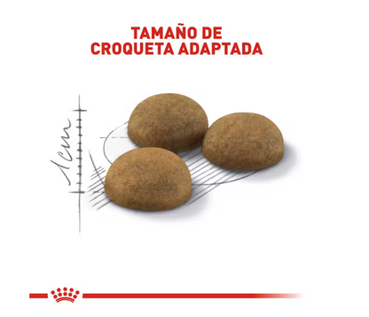 Royal Canin - Indoor Adult.