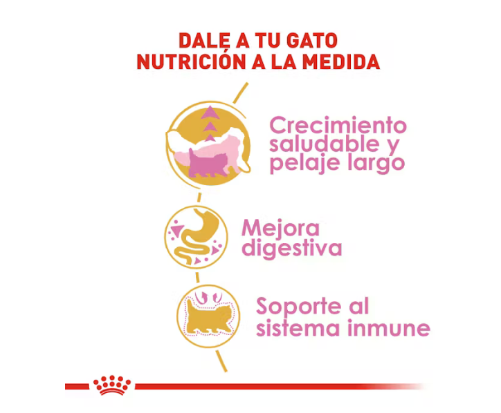 Royal Canin - Persa Cachorro 1.3 kg