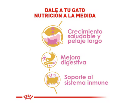 Royal Canin - Persa Cachorro 1.3 kg