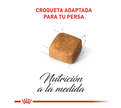 Royal Canin - Persa Cachorro 1.3 kg