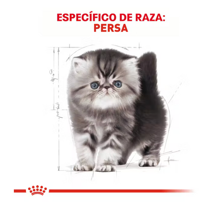 Royal Canin - Persa Cachorro 1.3 kg