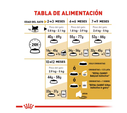 Royal Canin - Persa Cachorro 1.3 kg