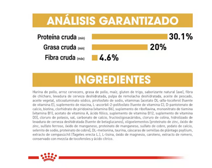 Royal Canin - Persa Cachorro 1.3 kg